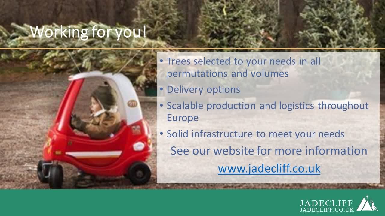 Jadecliff presentation slide 12