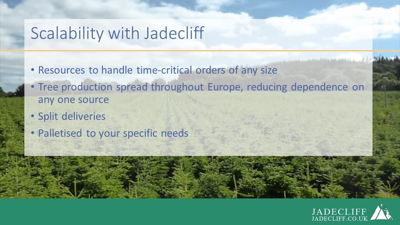 Jadecliff presentation slide 7